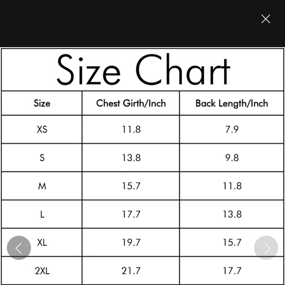 💜HOST PICK💜 NWT The Perfect Purple Puppy Dog Cat Dress - Picture 3 of 3